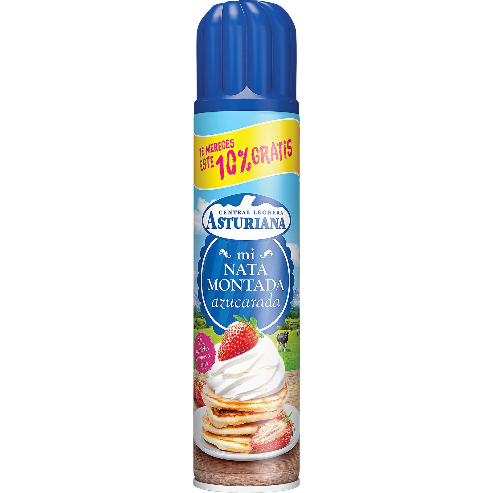 Nata montada en spray 250 ml