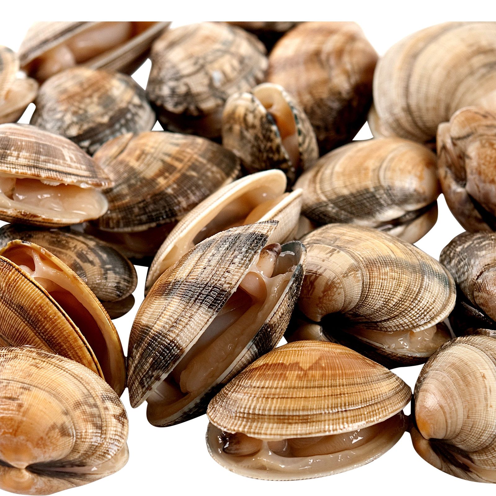 Almeja fina congelada a granel